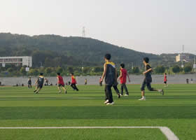 喜讯：我系代表队在参加学院第八届运动会学生足球赛中获得亚军
