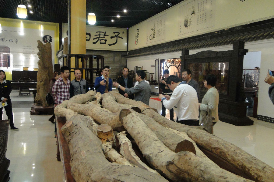 DSC08120副本.jpg