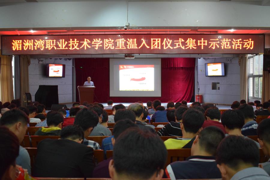 我院团委开展“一学一做”重温入团仪式集中示范活动