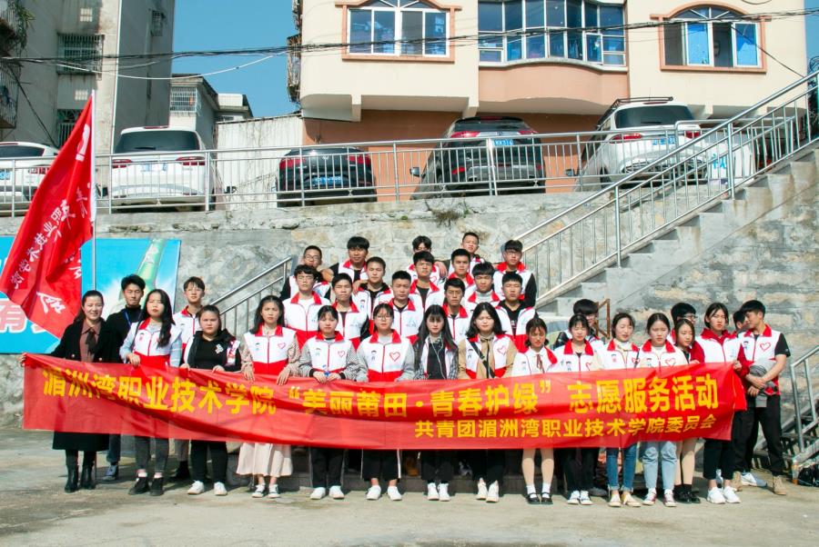 种一颗小树，绿一方净土——我院开展植树节活动
