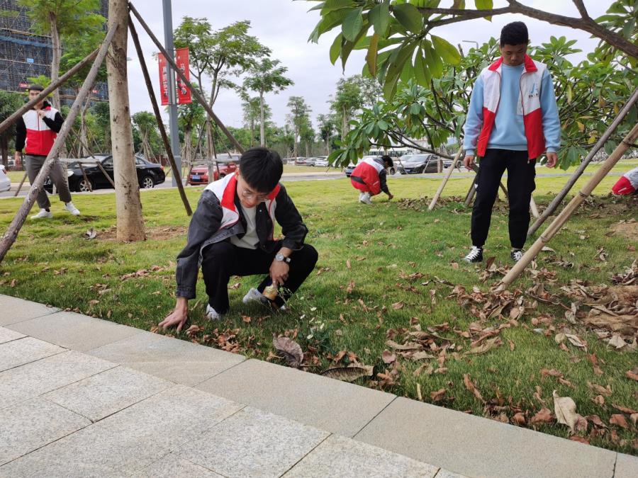 劳动教育，倡导文明新风|绿化长青，整洁如新
