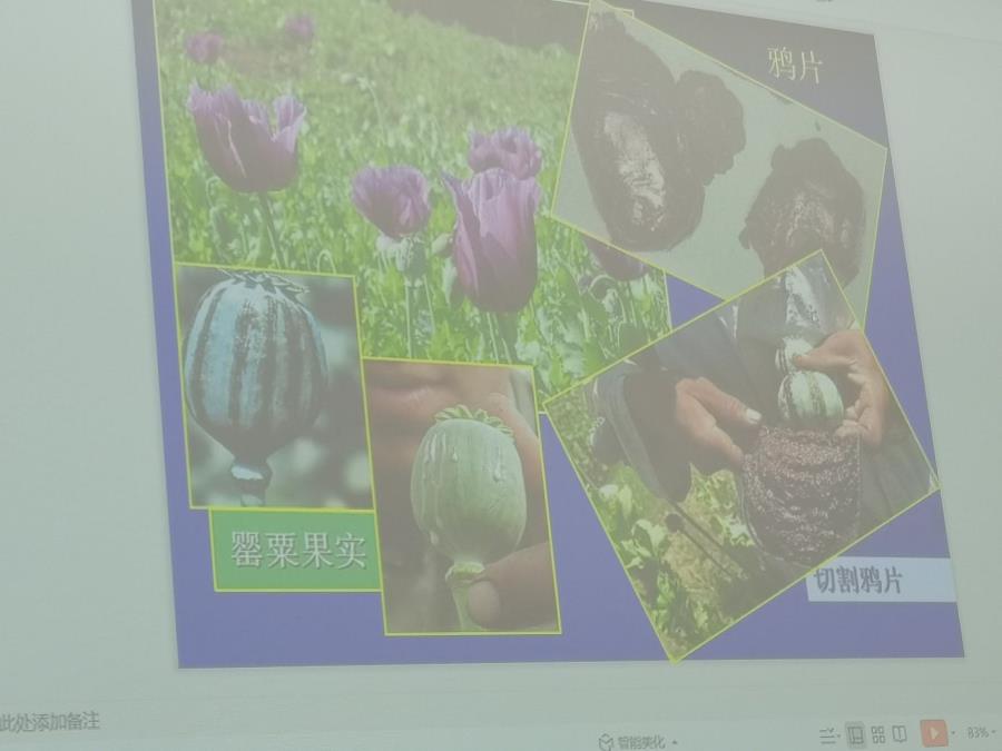 禁毒教育│建筑工程系参加禁毒安全知识讲座