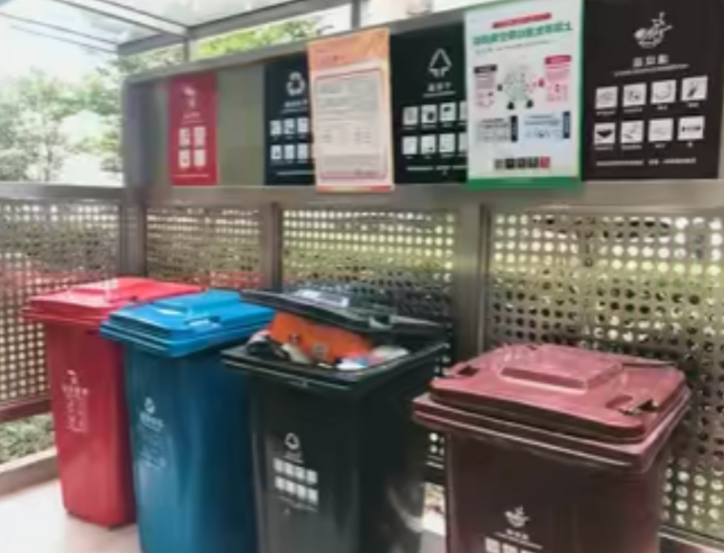 我的返乡社会实践（五）|垃圾分类我先行，举手之劳处处做