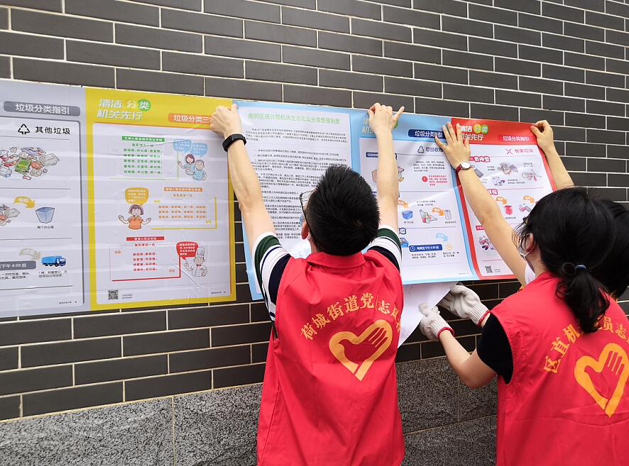 我的返乡社会实践（十）|环境你我他，志愿靠大家