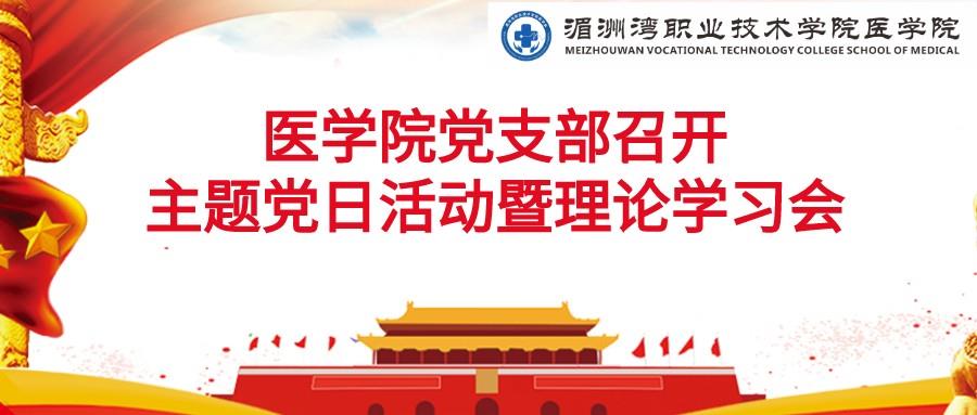 医学院党支部召开主题党日活动暨理论学习会