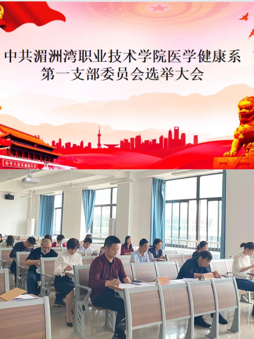 医学健康系第一党支部召开支部委员会补选大会