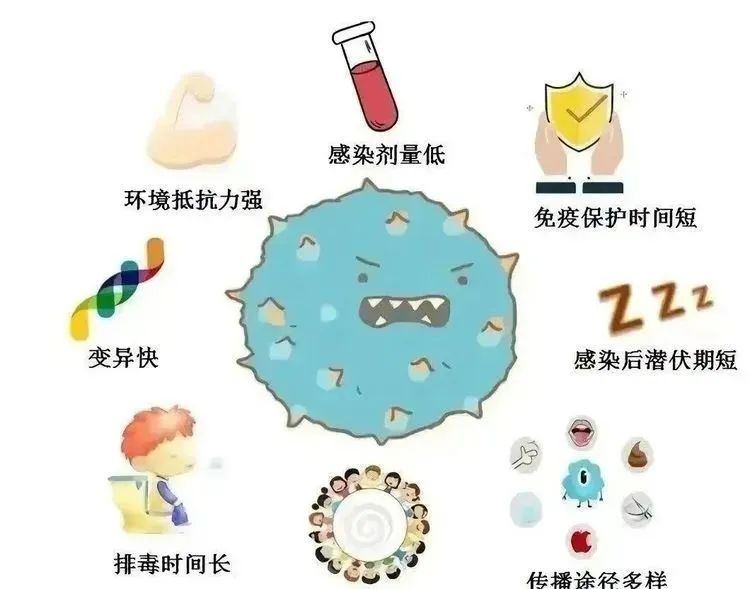 科学防控，守护健康——“诺如病毒”预防知识宣传